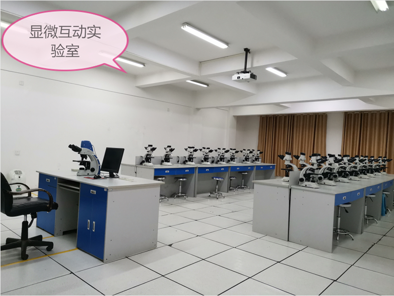 邵老師指導(dǎo)下的基礎(chǔ)醫(yī)學(xué)實(shí)驗(yàn)教學(xué) 實(shí)驗(yàn)場(chǎng)地、儀器設(shè)備與教學(xué)圖片一覽